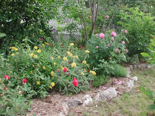 花壇の種類 ｐｃｃガーデンデザイン事務所 寄せ植えの花選び